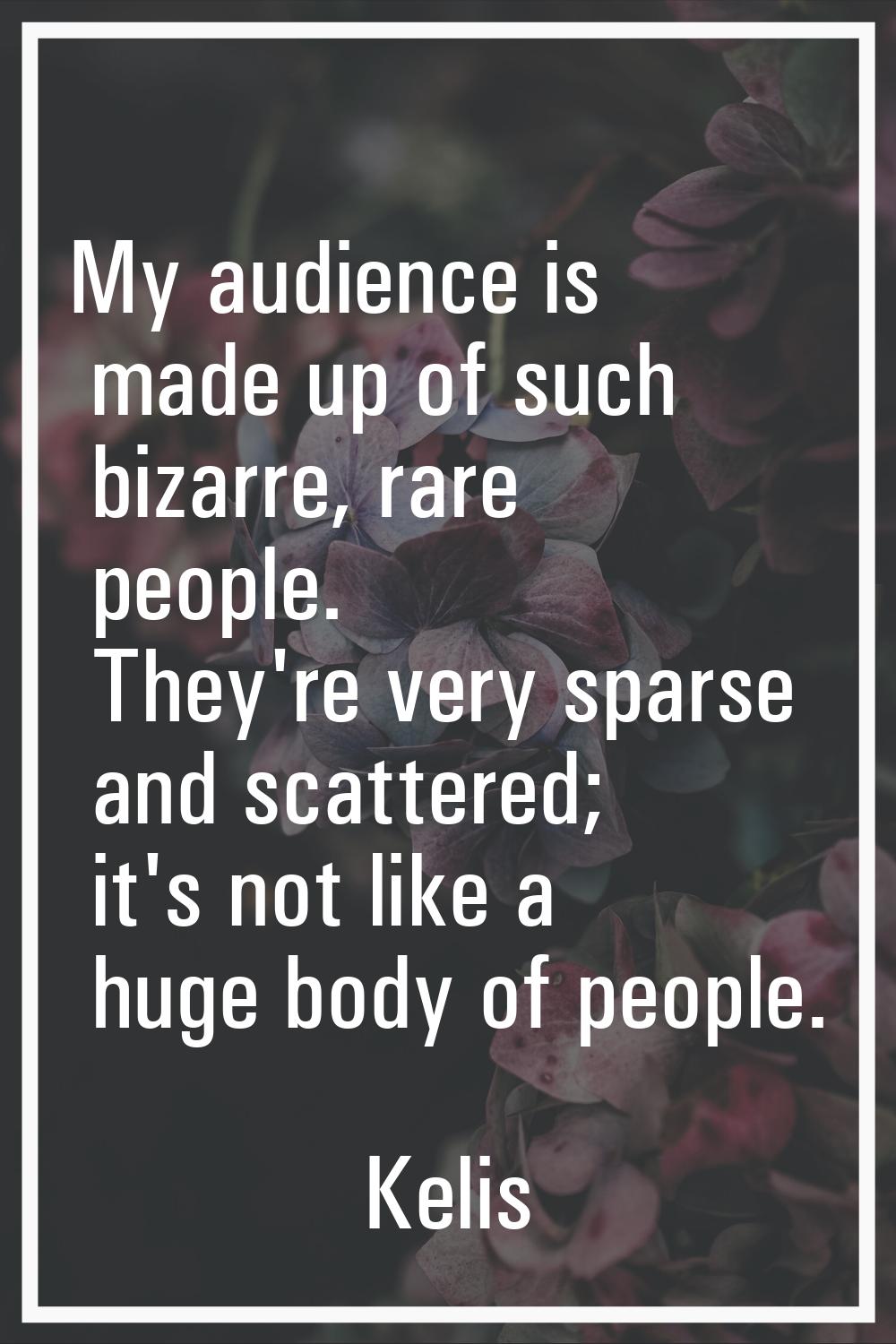My audience is made up of such bizarre, rare people. They're very sparse and scattered; it's not li
