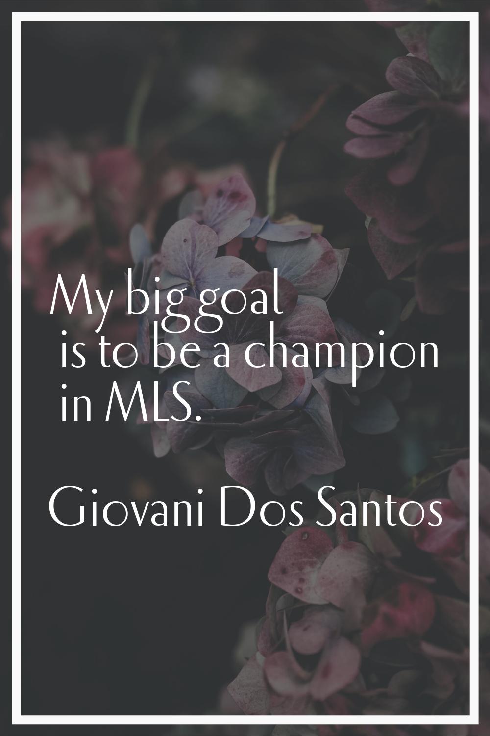 My big goal is to be a champion in MLS.