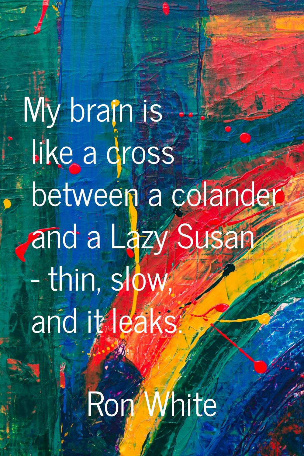 My brain is like a cross between a colander and a Lazy Susan - thin, slow, and it leaks.