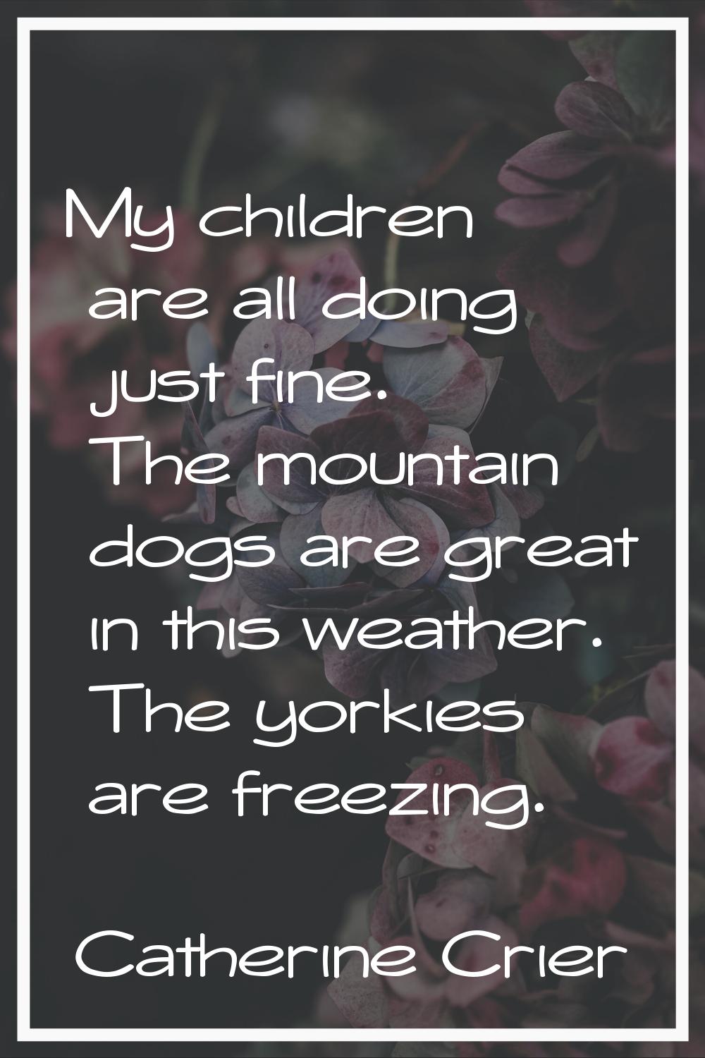 My children are all doing just fine. The mountain dogs are great in this weather. The yorkies are f