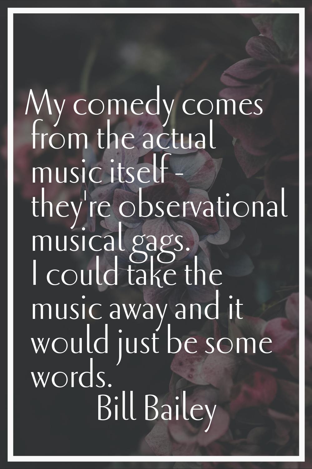 My comedy comes from the actual music itself - they're observational musical gags. I could take the