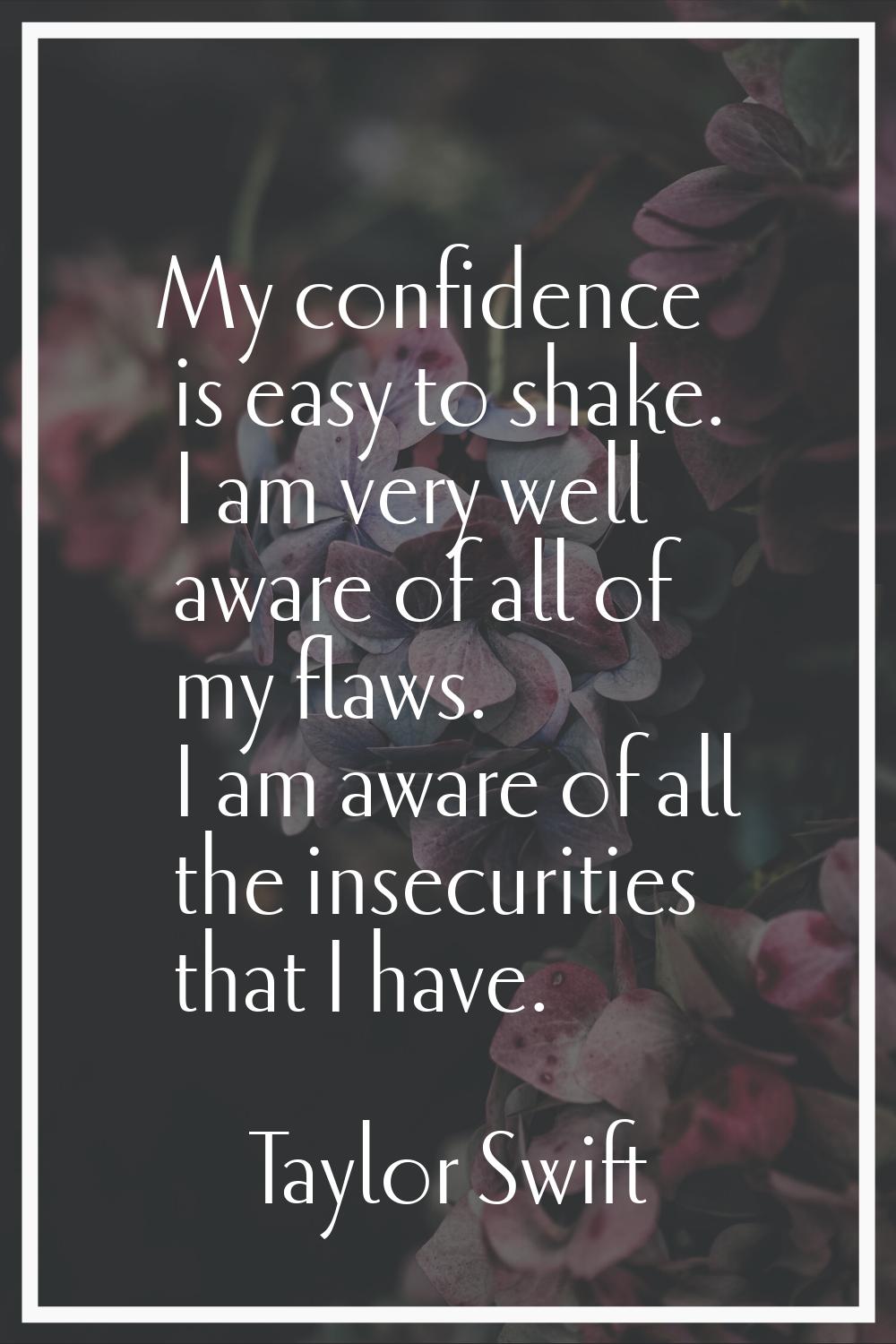 My confidence is easy to shake. I am very well aware of all of my flaws. I am aware of all the inse