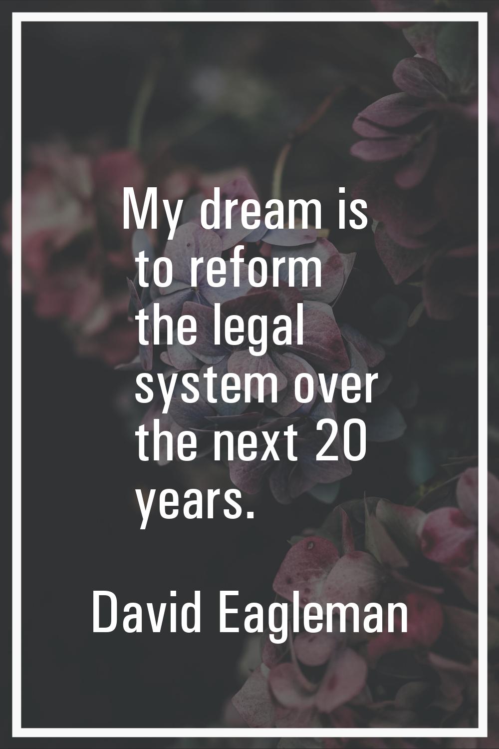 My dream is to reform the legal system over the next 20 years.