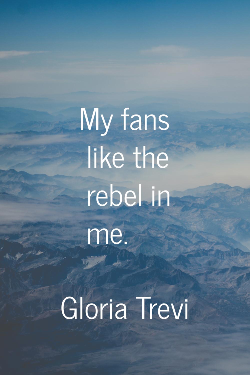 My fans like the rebel in me.