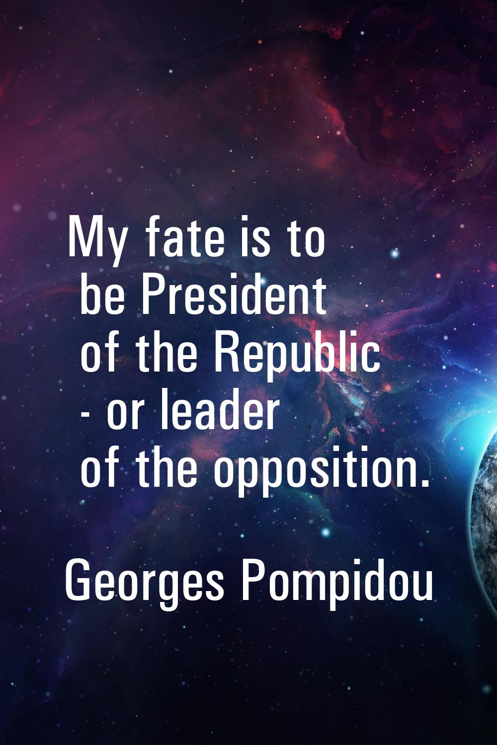 My fate is to be President of the Republic - or leader of the opposition.