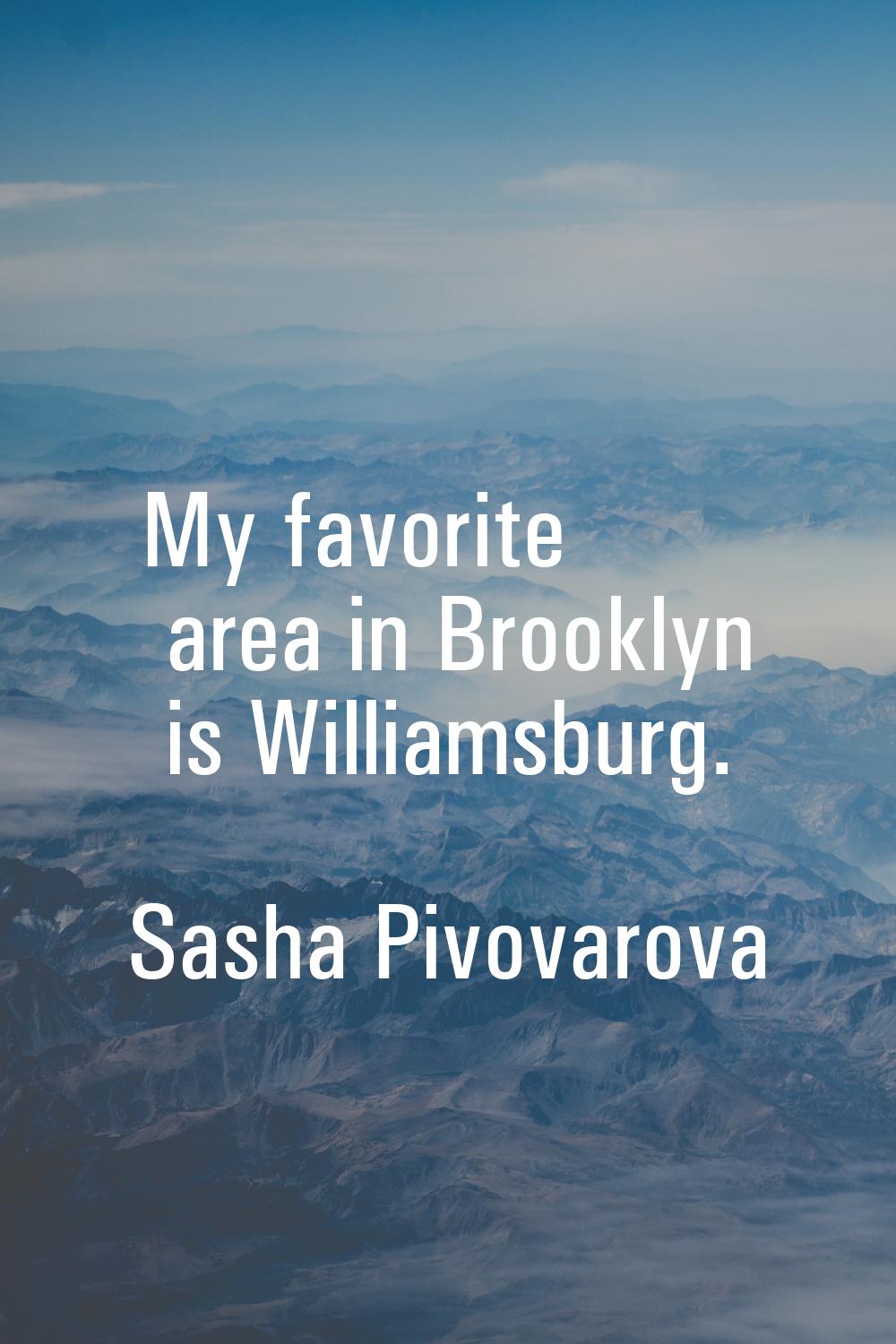 My favorite area in Brooklyn is Williamsburg.