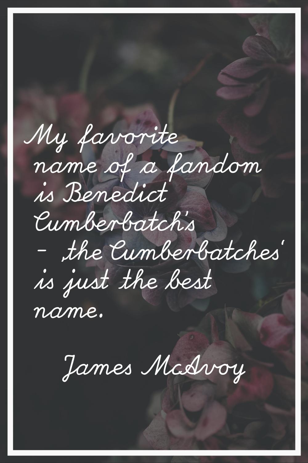 My favorite name of a fandom is Benedict Cumberbatch's - 'the Cumberbatches' is just the best name.