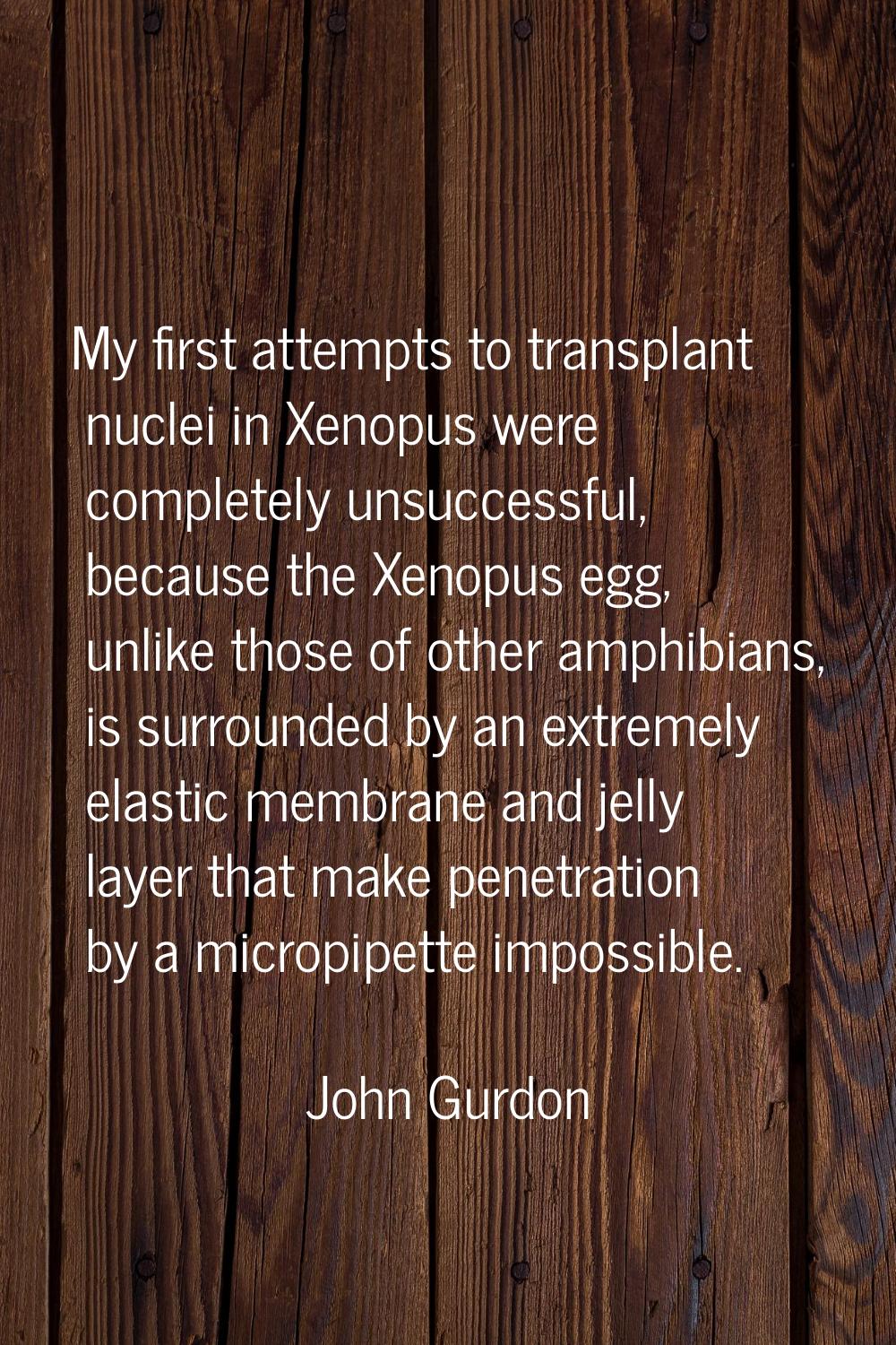 My first attempts to transplant nuclei in Xenopus were completely unsuccessful, because the Xenopus