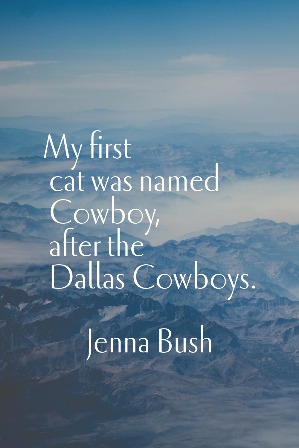 My first cat was named Cowboy, after the Dallas Cowboys.