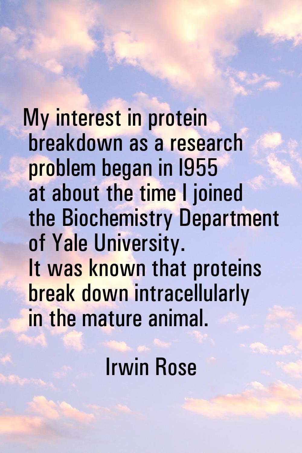 My interest in protein breakdown as a research problem began in l955 at about the time I joined the