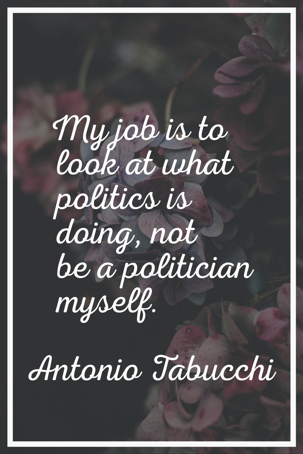 My job is to look at what politics is doing, not be a politician myself.
