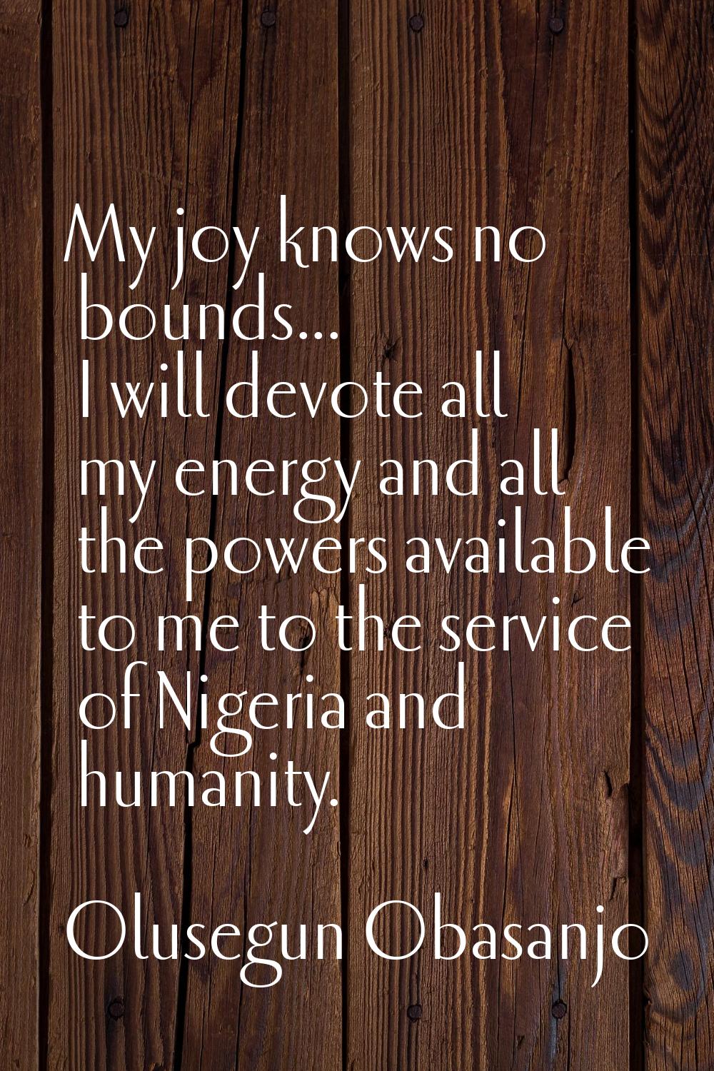 My joy knows no bounds... I will devote all my energy and all the powers available to me to the ser