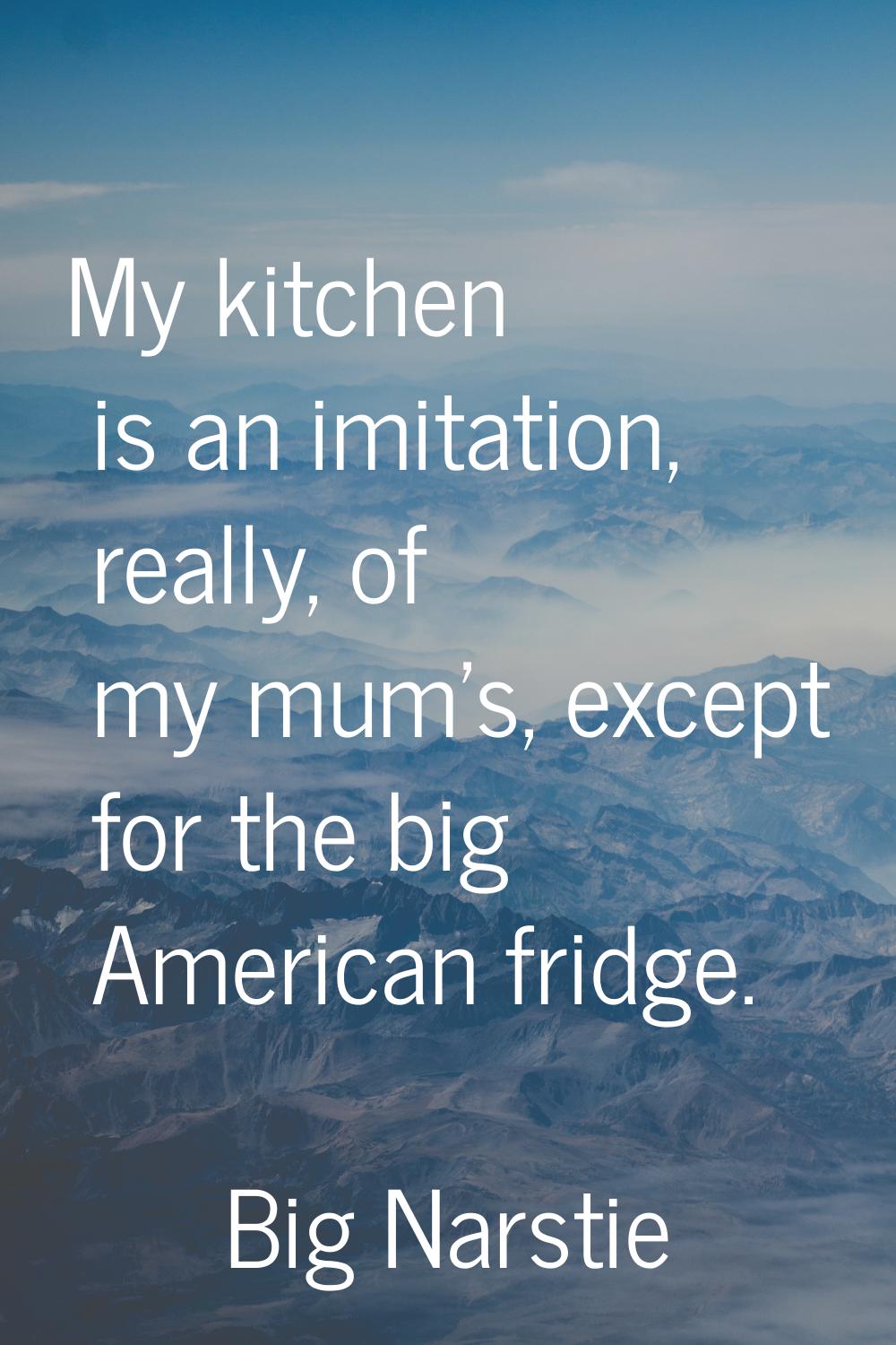 My kitchen is an imitation, really, of my mum's, except for the big American fridge.