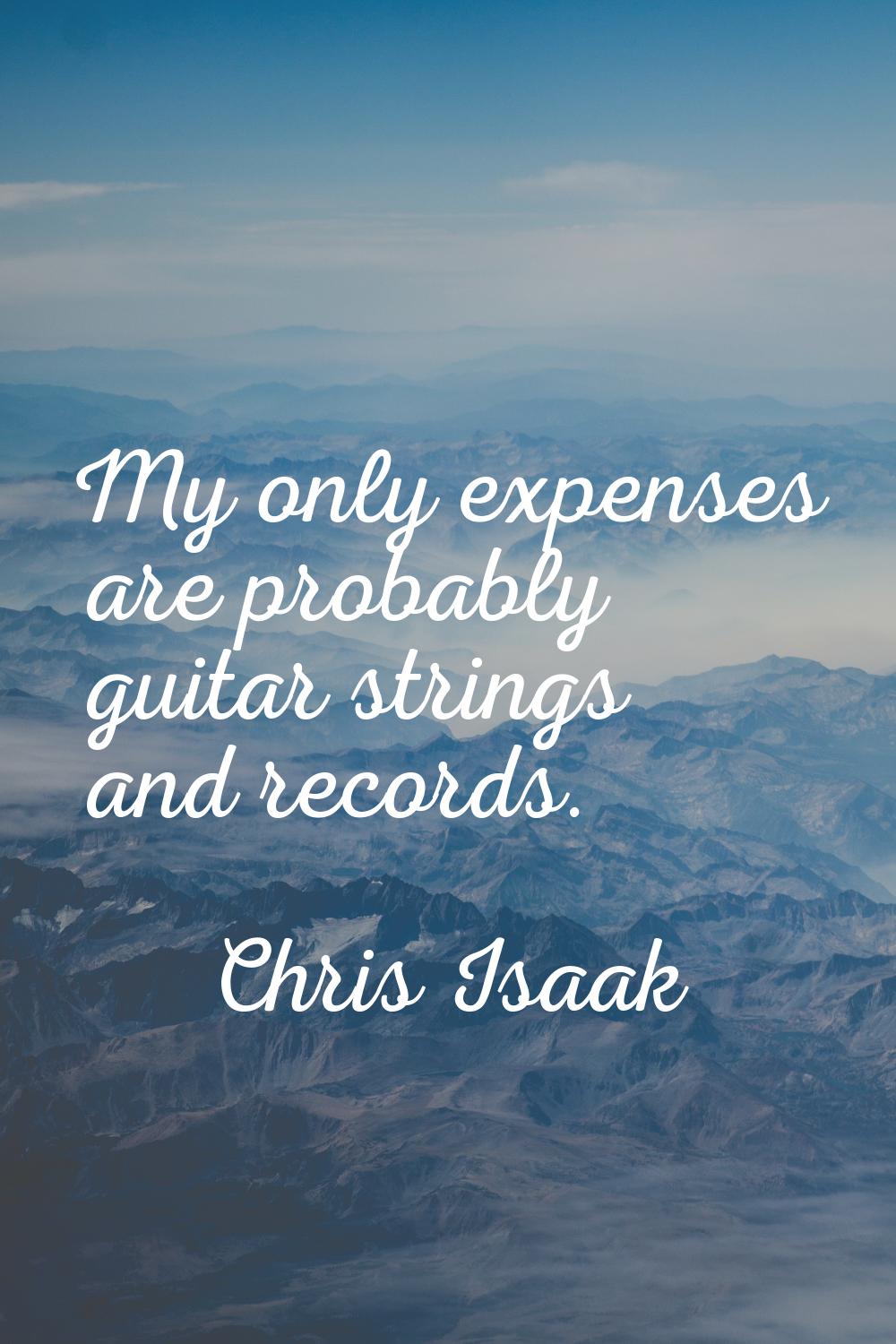 My only expenses are probably guitar strings and records.