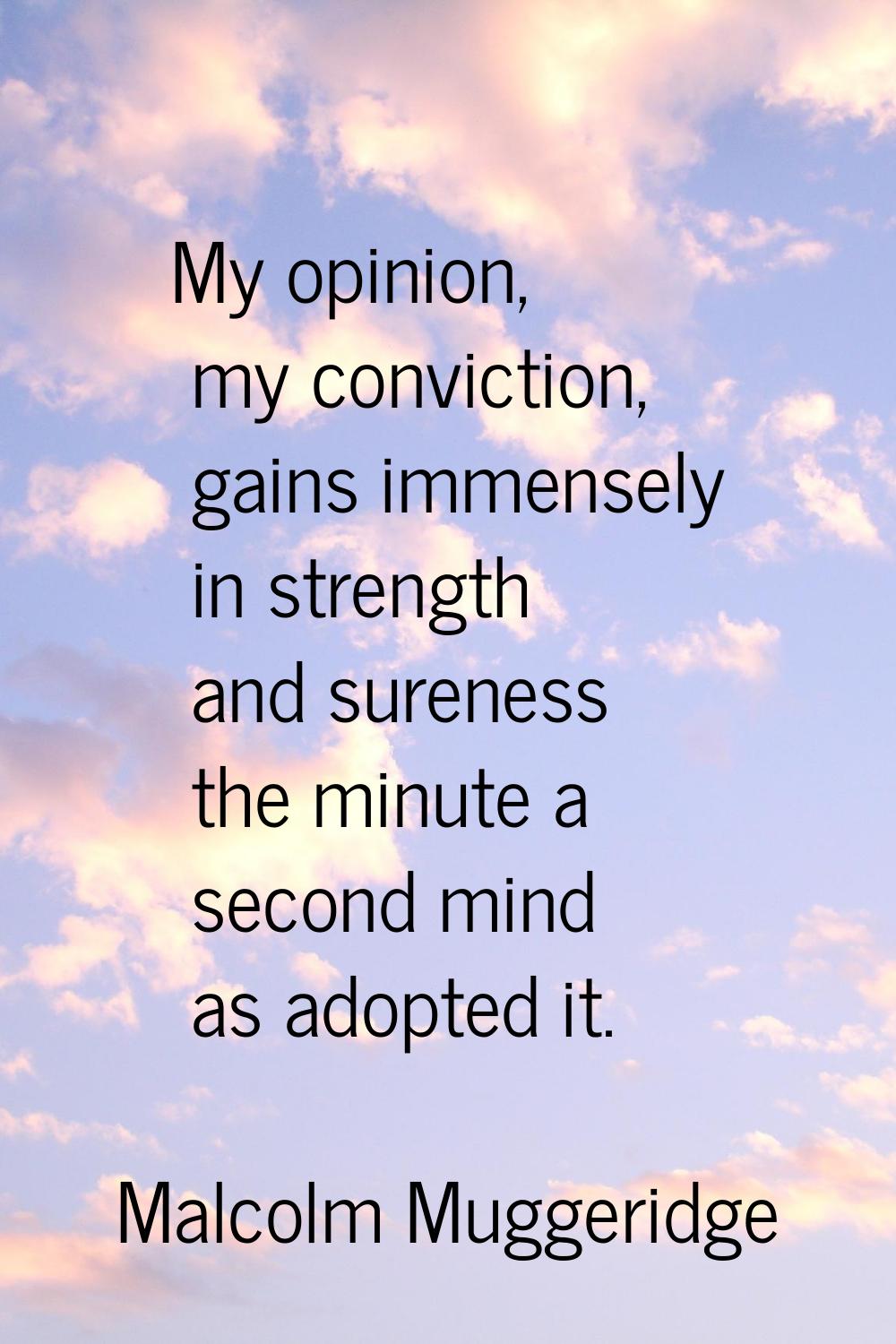 My opinion, my conviction, gains immensely in strength and sureness the minute a second mind as ado