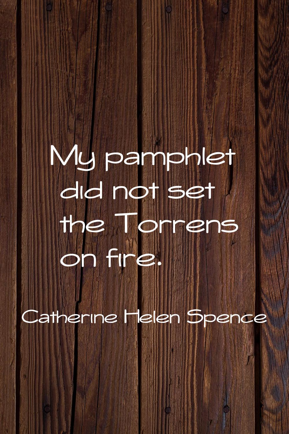 My pamphlet did not set the Torrens on fire.