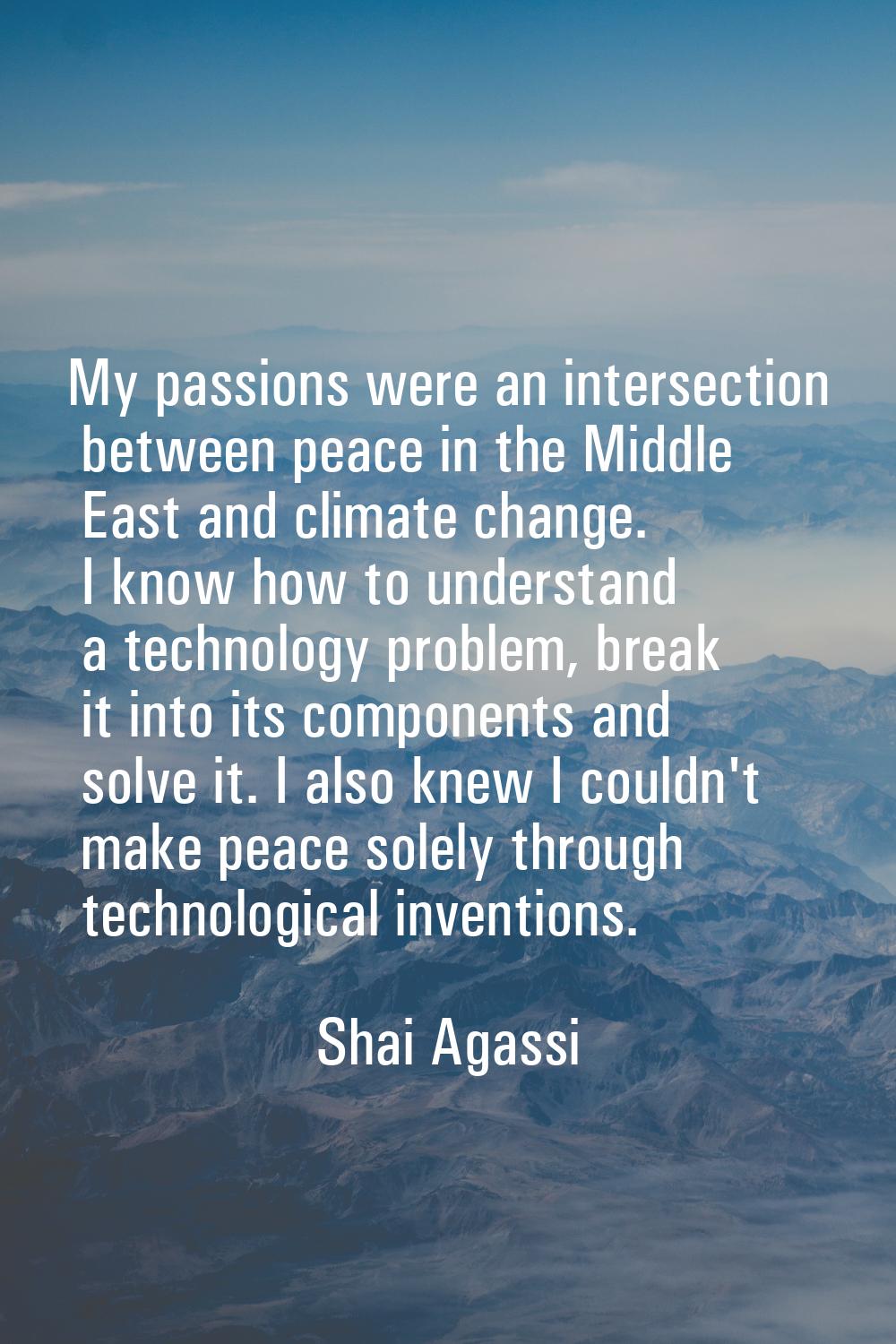 My passions were an intersection between peace in the Middle East and climate change. I know how to
