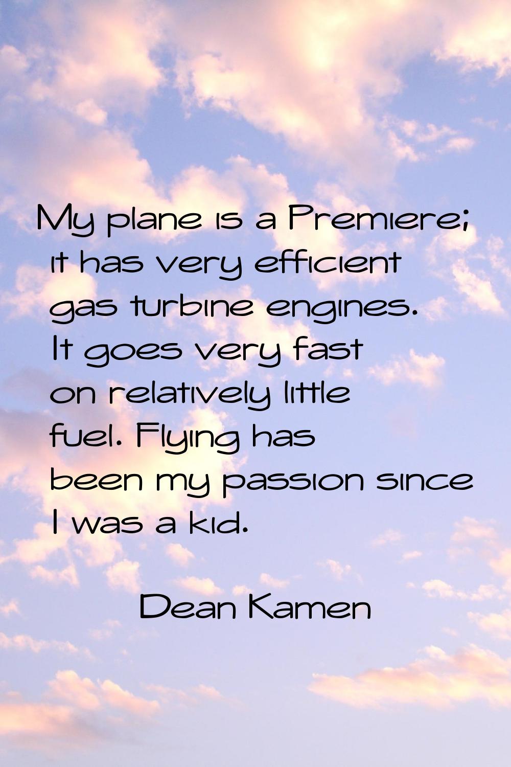 My plane is a Premiere; it has very efficient gas turbine engines. It goes very fast on relatively 