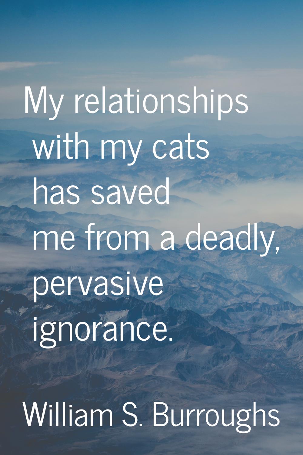 My relationships with my cats has saved me from a deadly, pervasive ignorance.