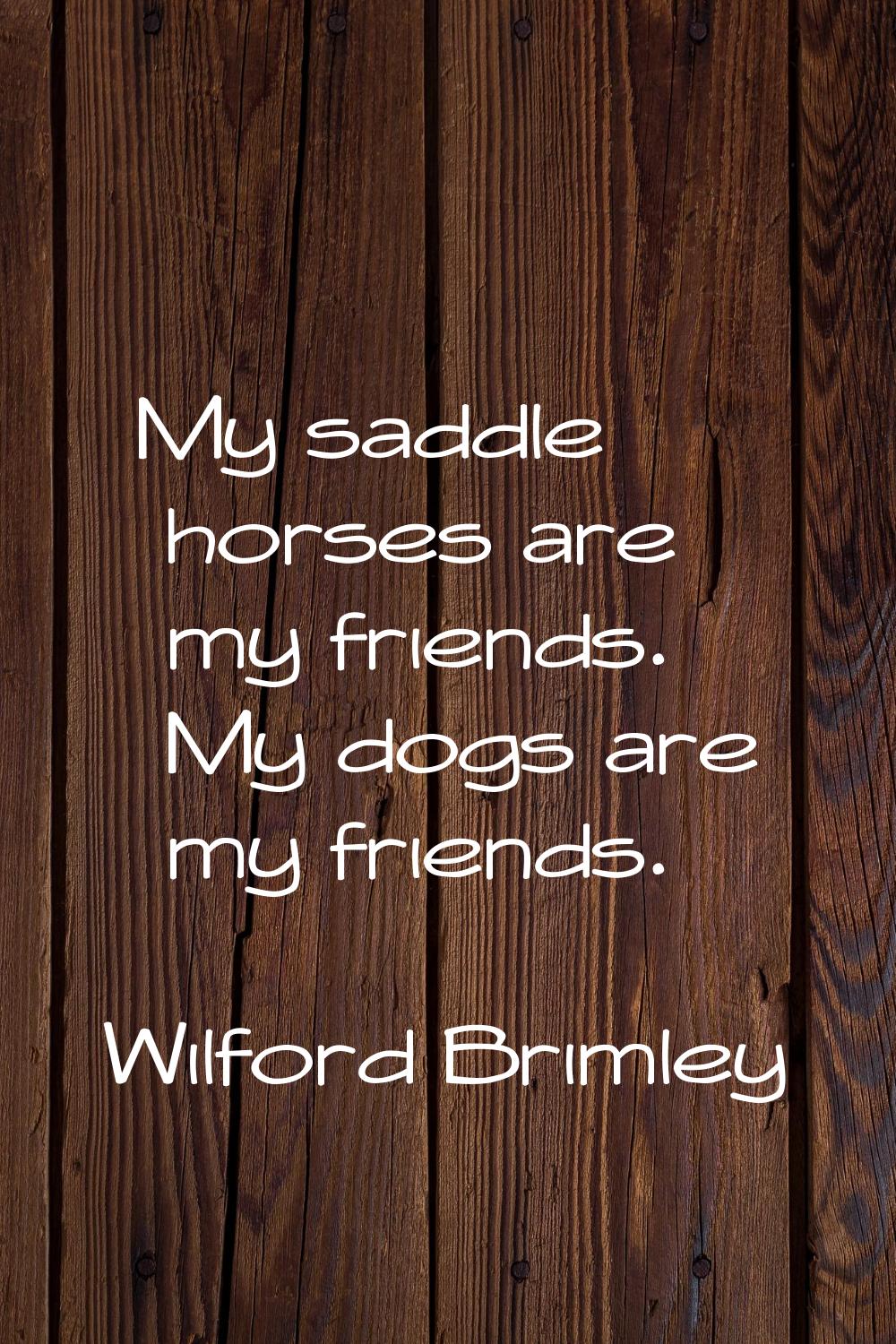 My saddle horses are my friends. My dogs are my friends.