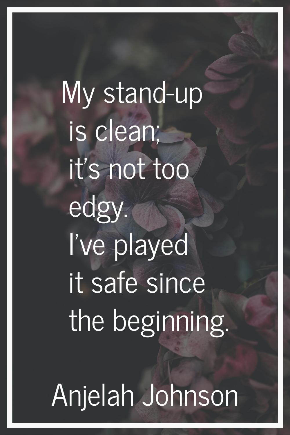 My stand-up is clean; it's not too edgy. I've played it safe since the beginning.