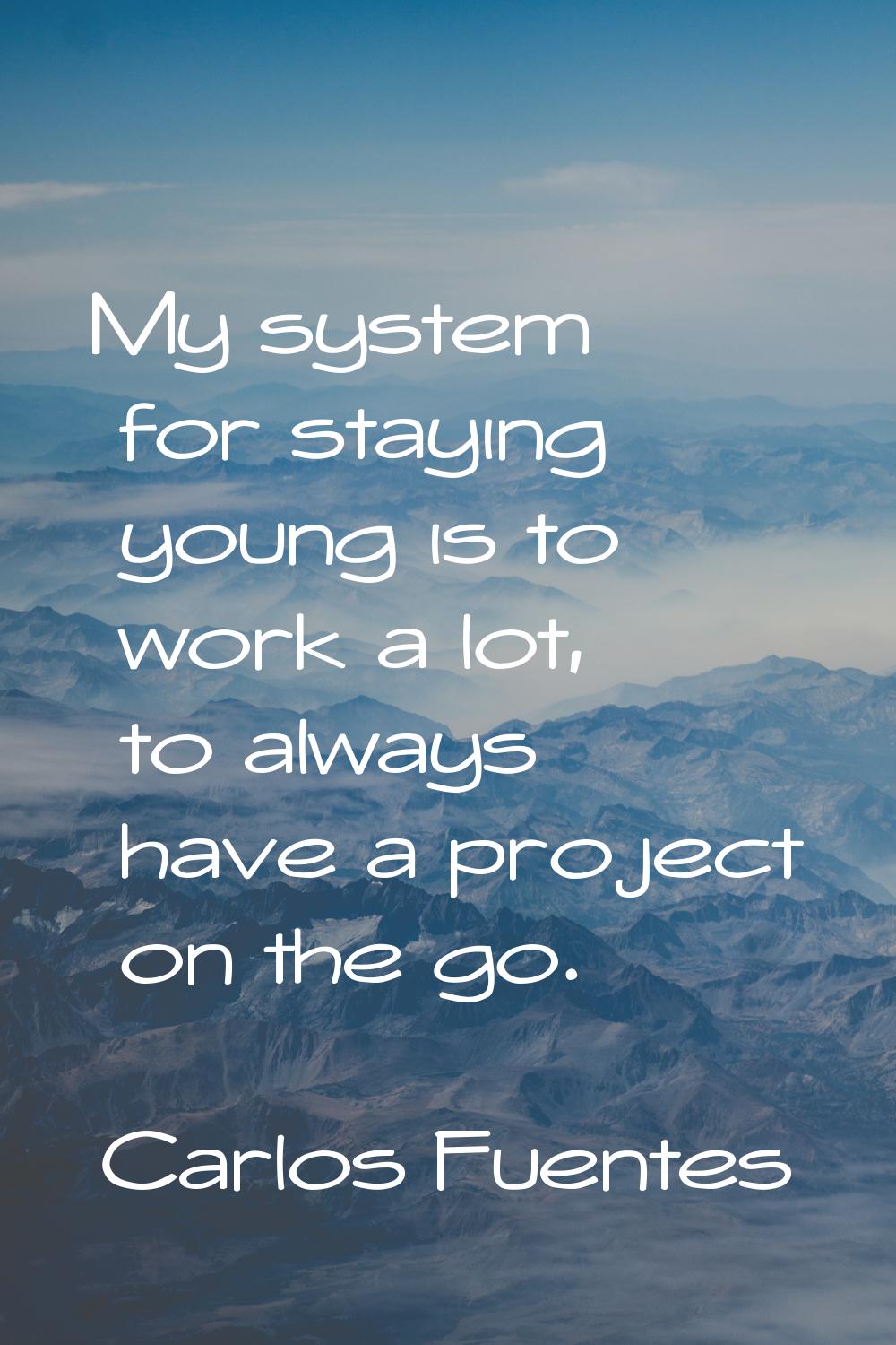 My system for staying young is to work a lot, to always have a project on the go.