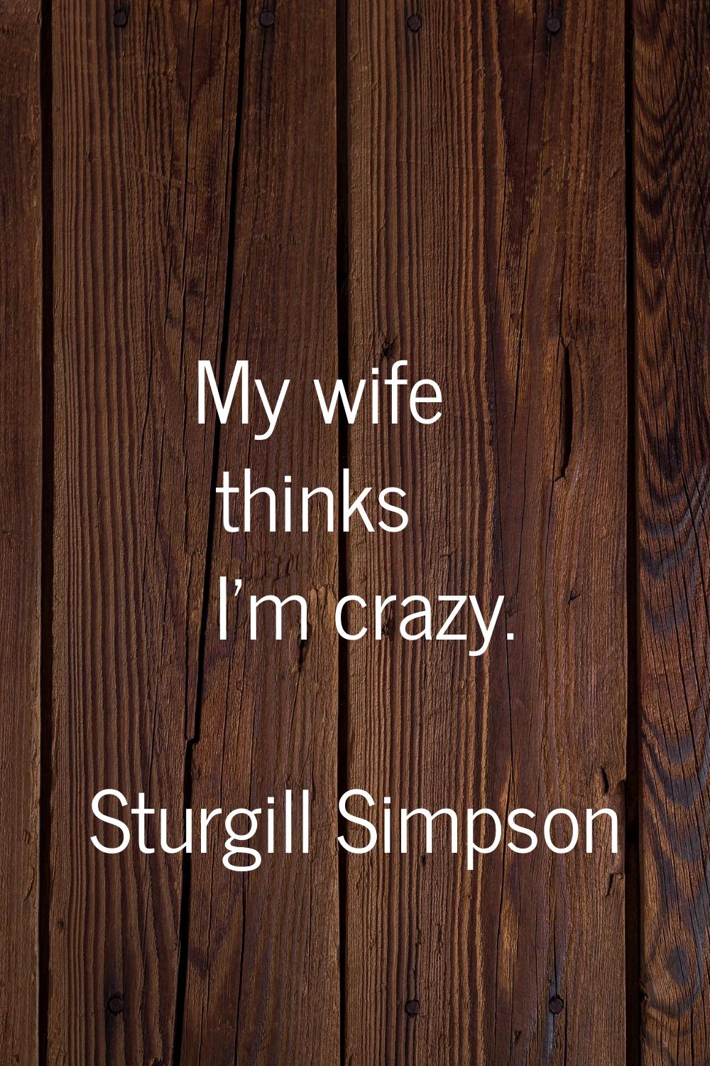 My wife thinks I'm crazy.