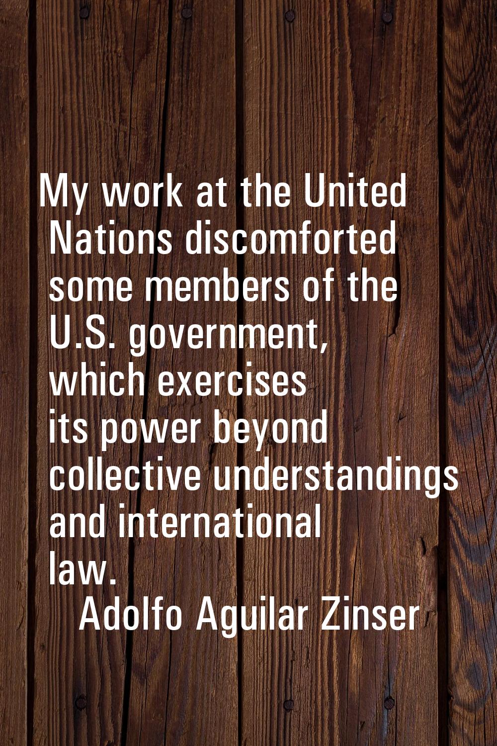 My work at the United Nations discomforted some members of the U.S. government, which exercises its