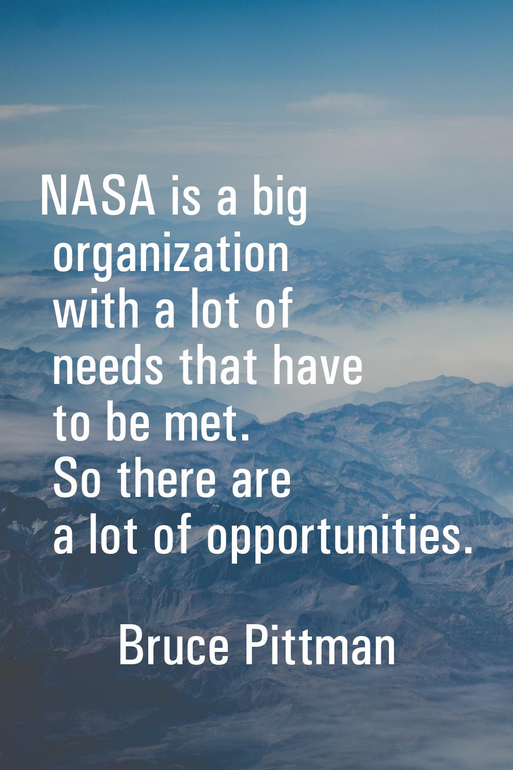 NASA is a big organization with a lot of needs that have to be met. So there are a lot of opportuni