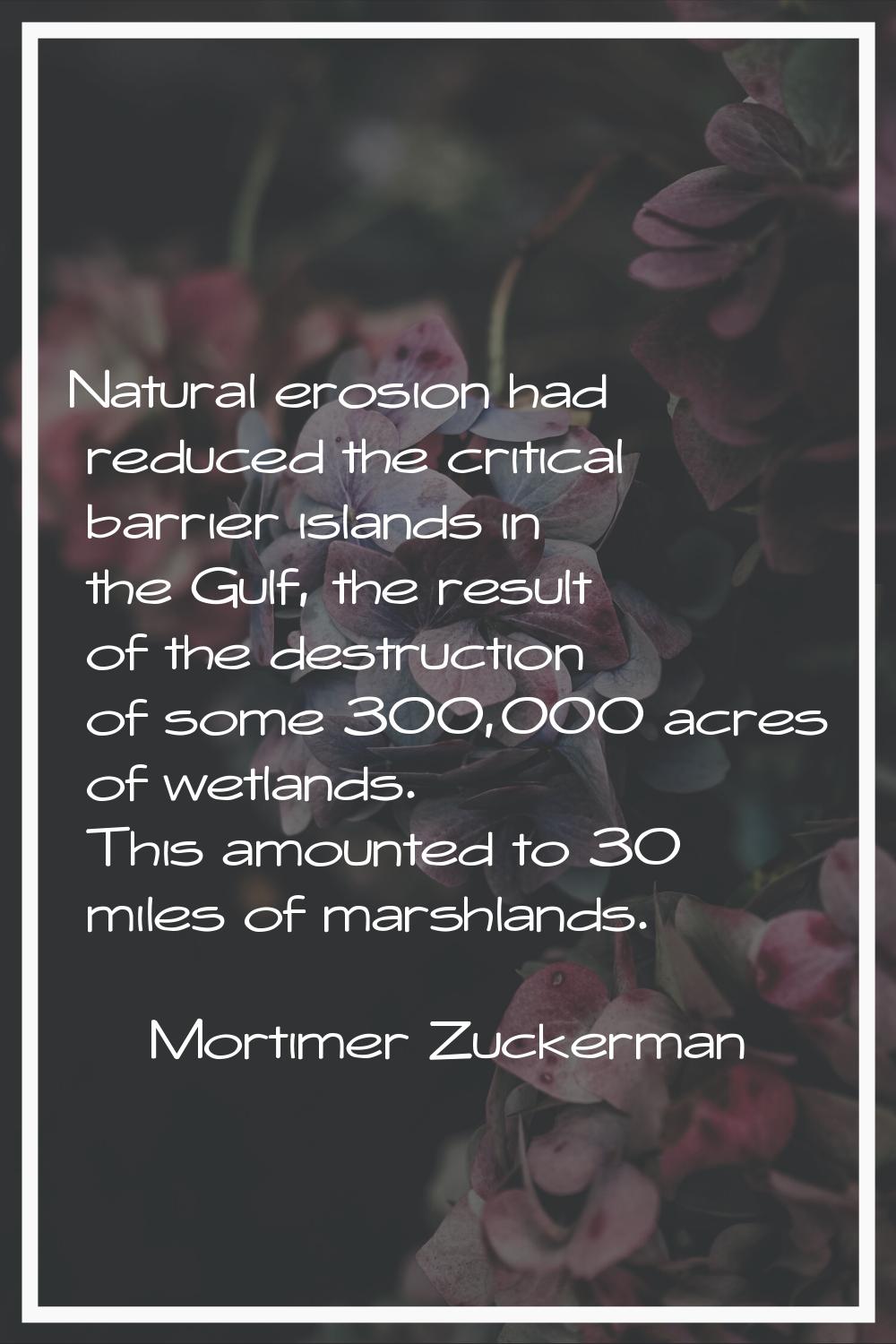 Natural erosion had reduced the critical barrier islands in the Gulf, the result of the destruction