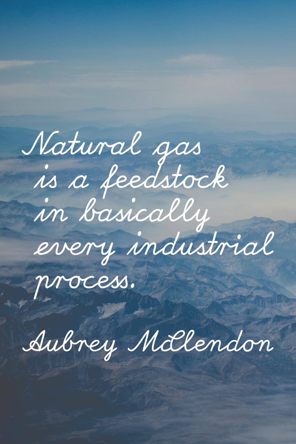 Natural gas is a feedstock in basically every industrial process.