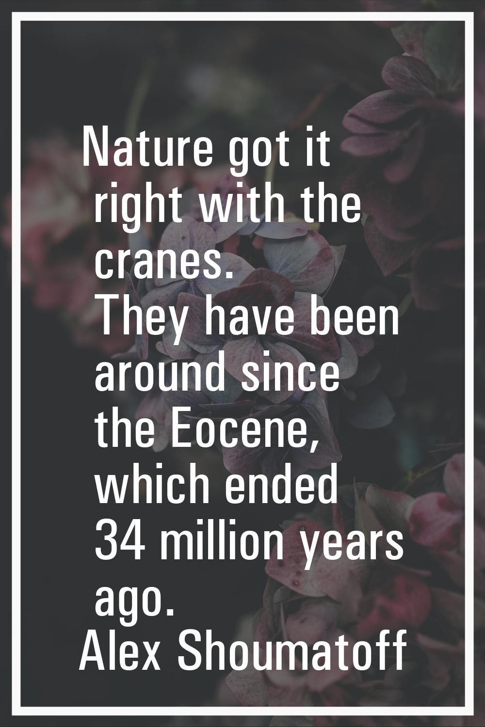 Nature got it right with the cranes. They have been around since the Eocene, which ended 34 million