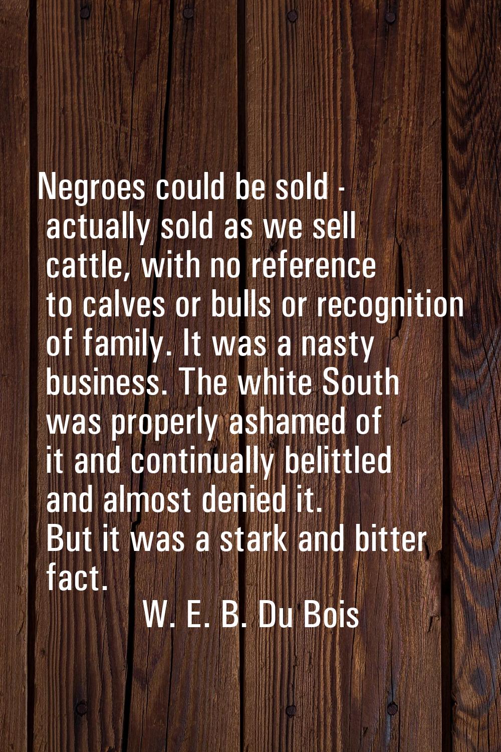 Negroes could be sold - actually sold as we sell cattle, with no reference to calves or bulls or re