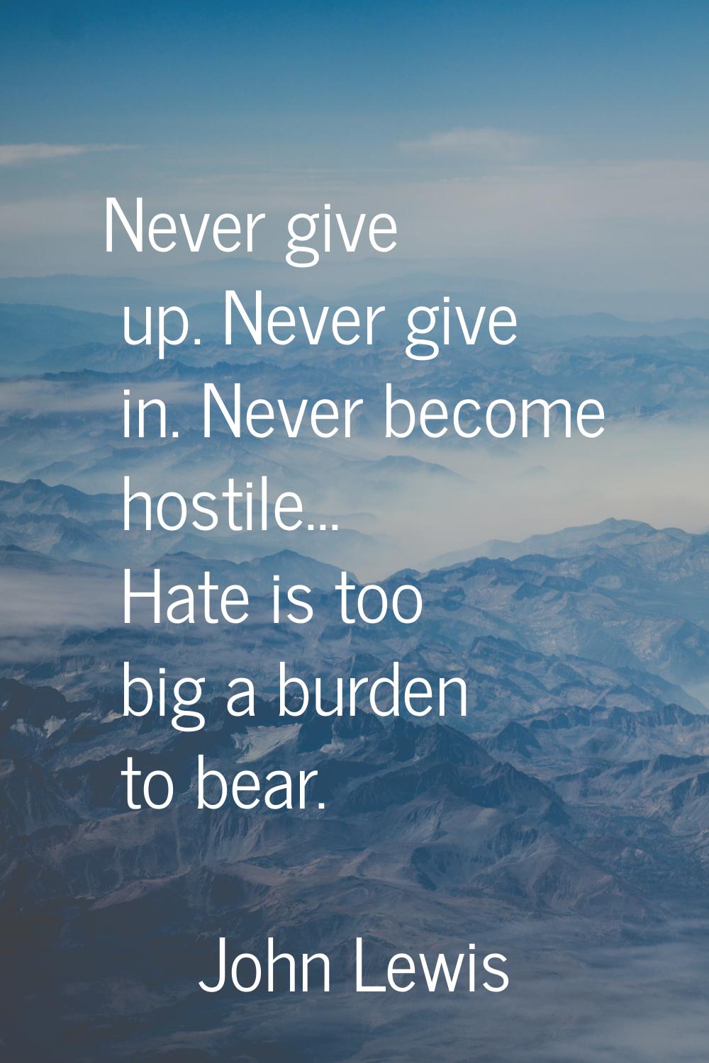 Never give up. Never give in. Never become hostile... Hate is too big a burden to bear.
