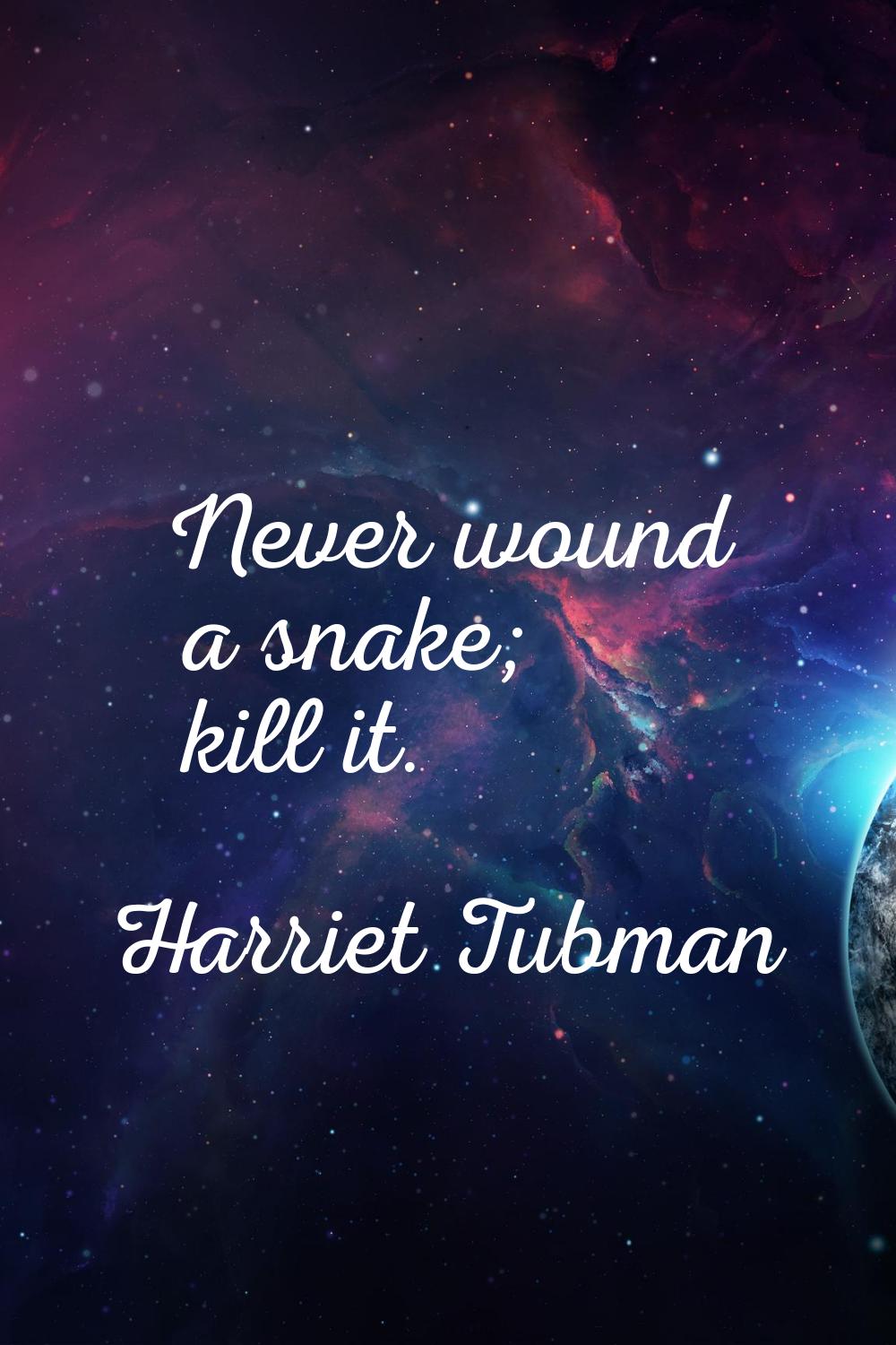 Never wound a snake; kill it.
