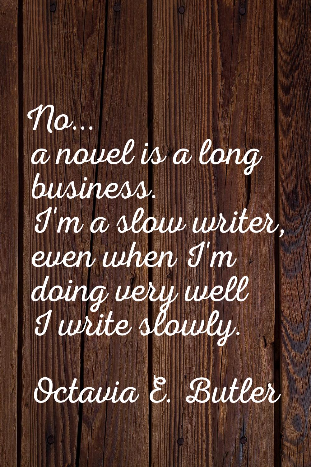 No... a novel is a long business. I'm a slow writer, even when I'm doing very well I write slowly.