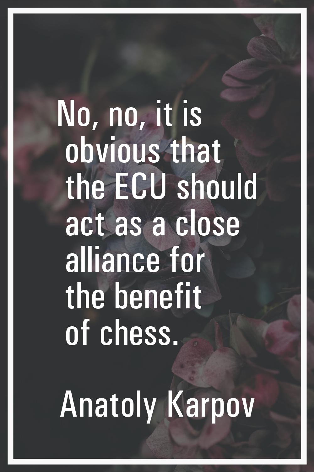 No, no, it is obvious that the ECU should act as a close alliance for the benefit of chess.
