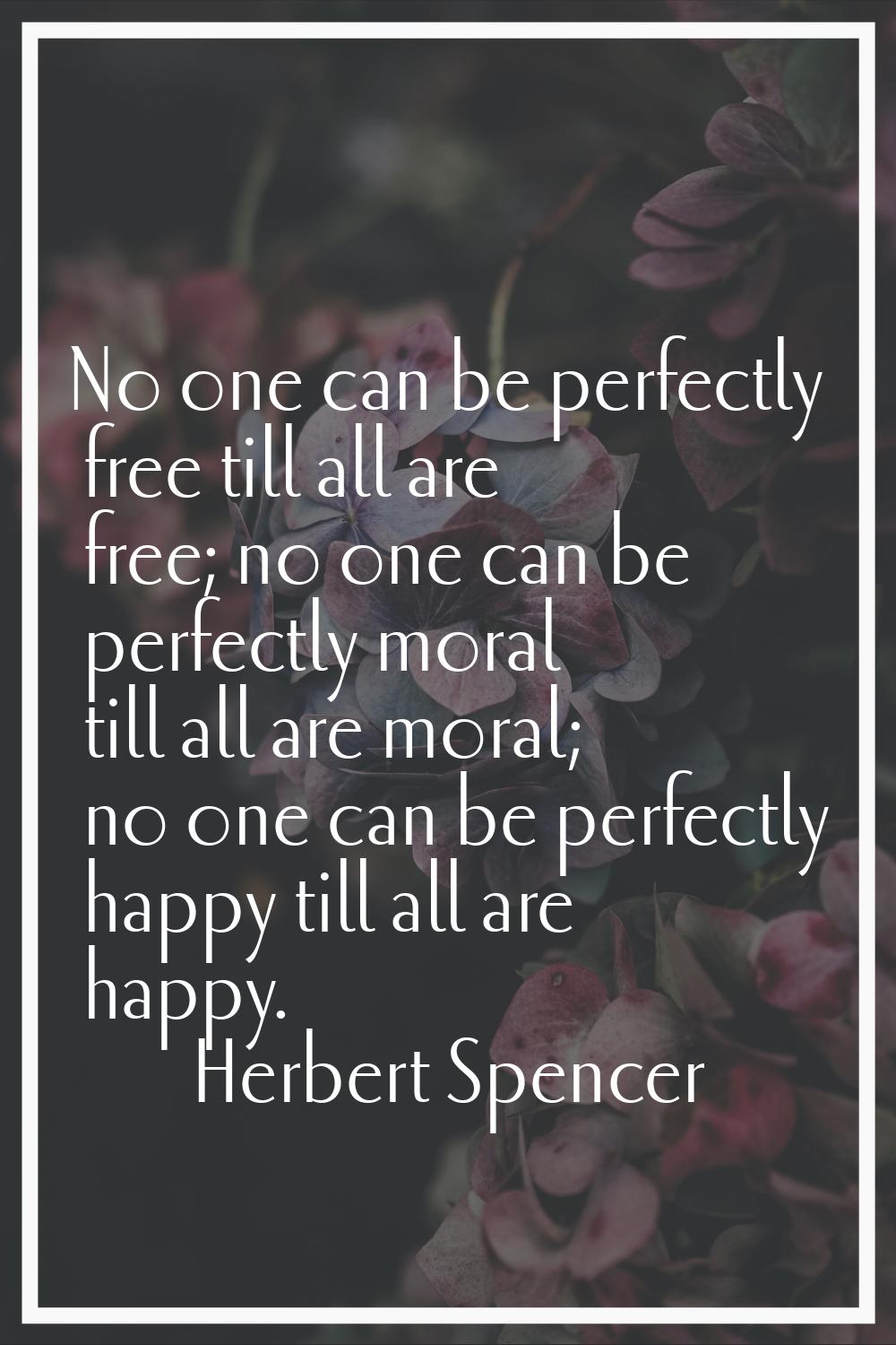 No one can be perfectly free till all are free; no one can be perfectly moral till all are moral; n