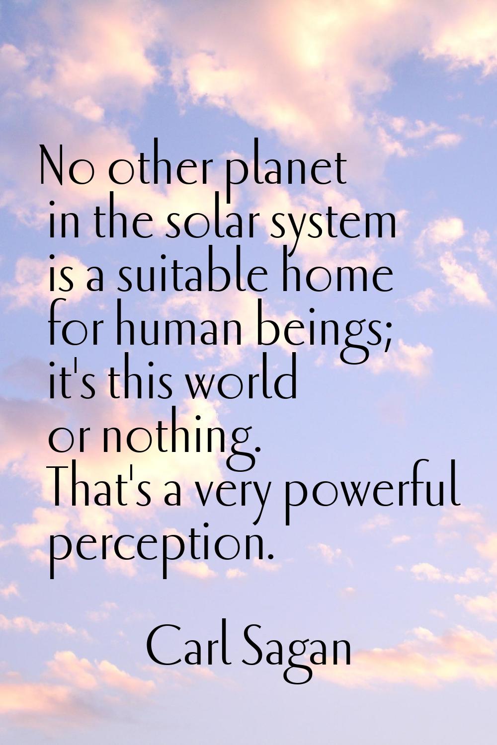 No other planet in the solar system is a suitable home for human beings; it's this world or nothing