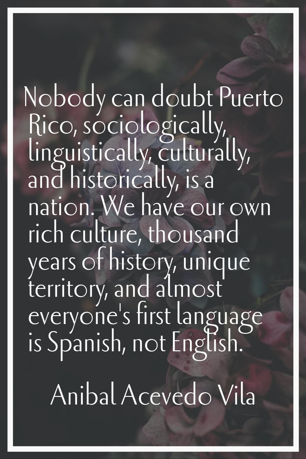 Nobody can doubt Puerto Rico, sociologically, linguistically, culturally, and historically, is a na
