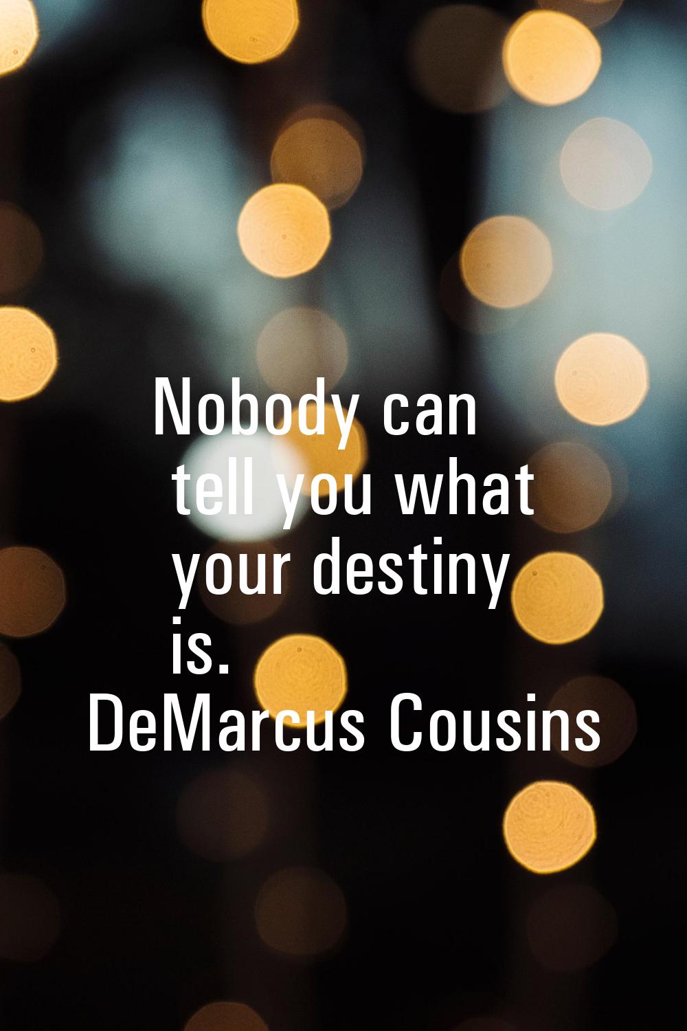 Nobody can tell you what your destiny is.