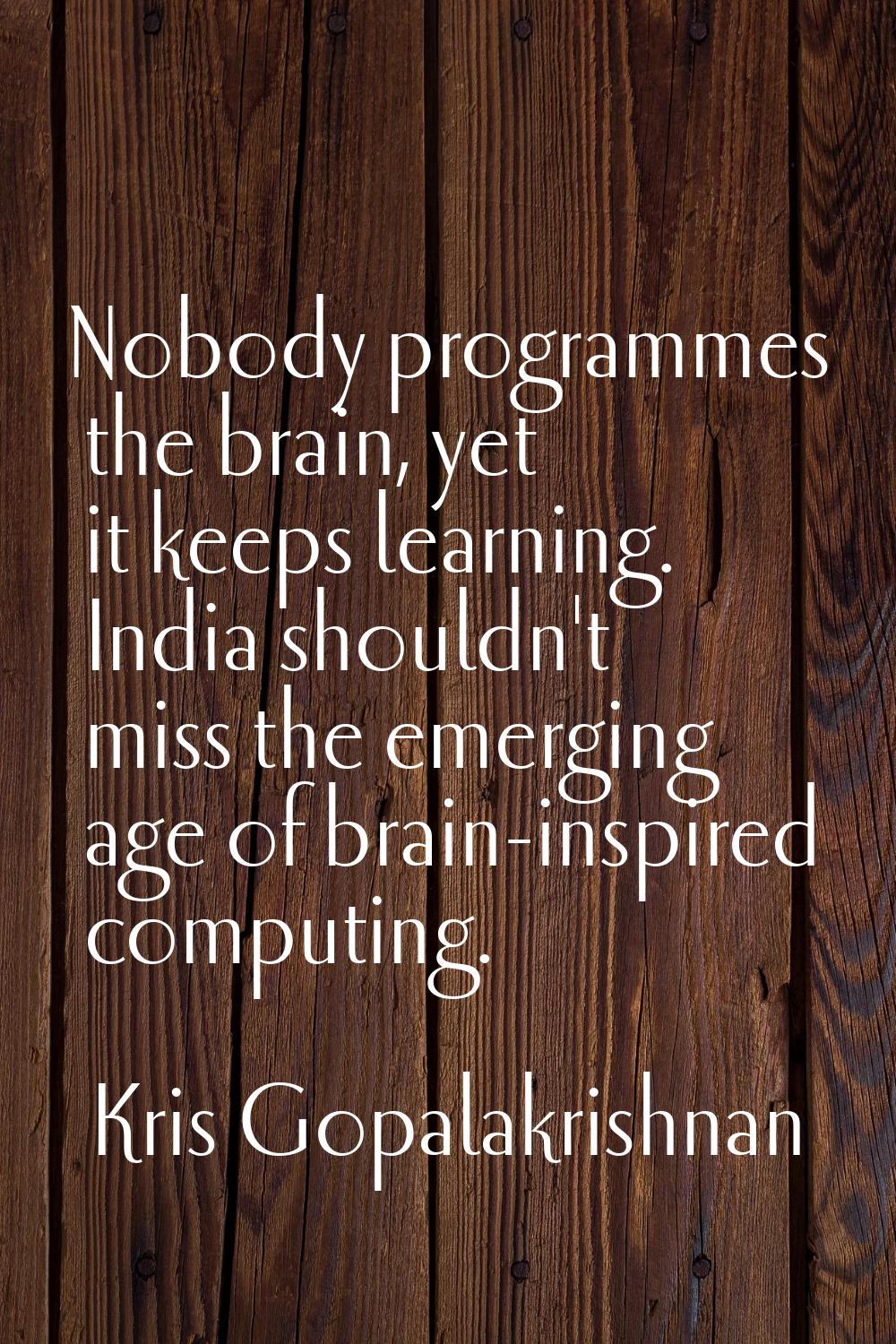 Nobody programmes the brain, yet it keeps learning. India shouldn't miss the emerging age of brain-