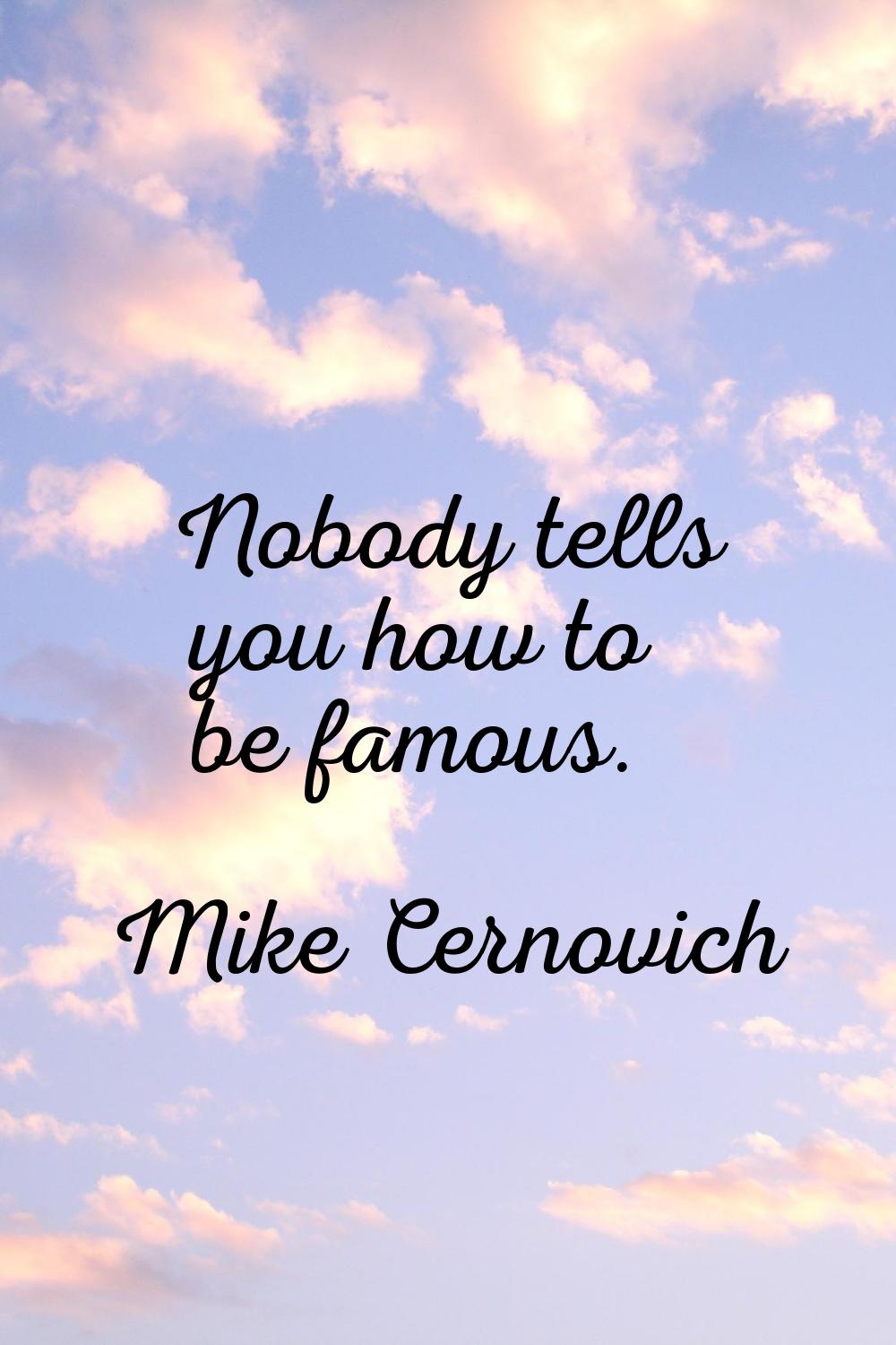 Nobody tells you how to be famous.