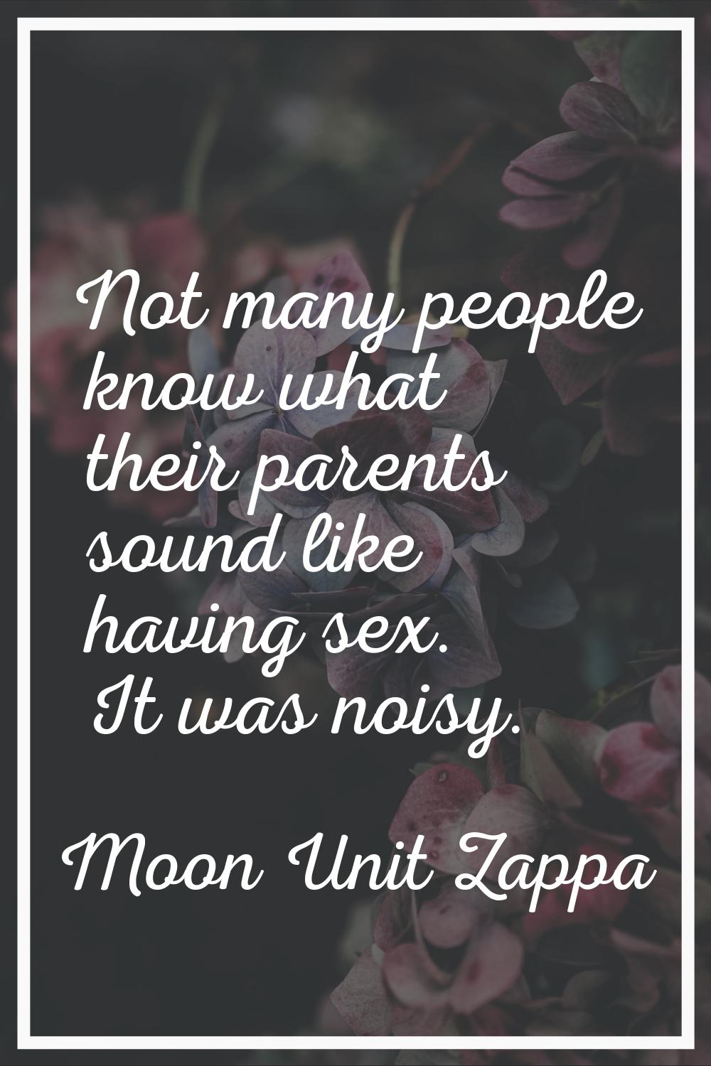 Not many people know what their parents sound like having sex. It was noisy.