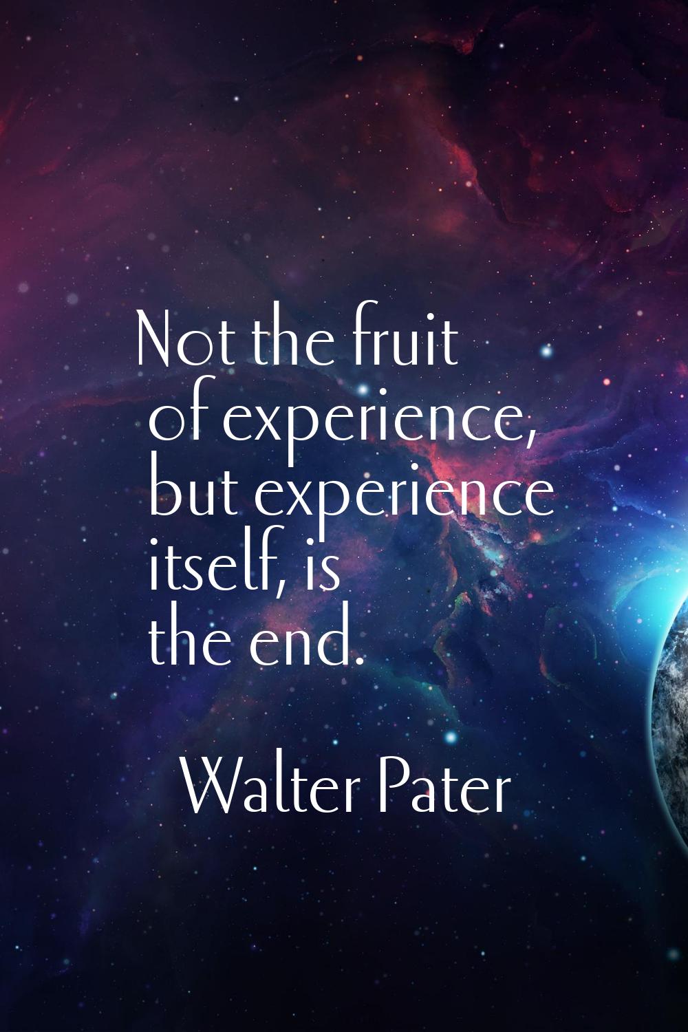 Not the fruit of experience, but experience itself, is the end.