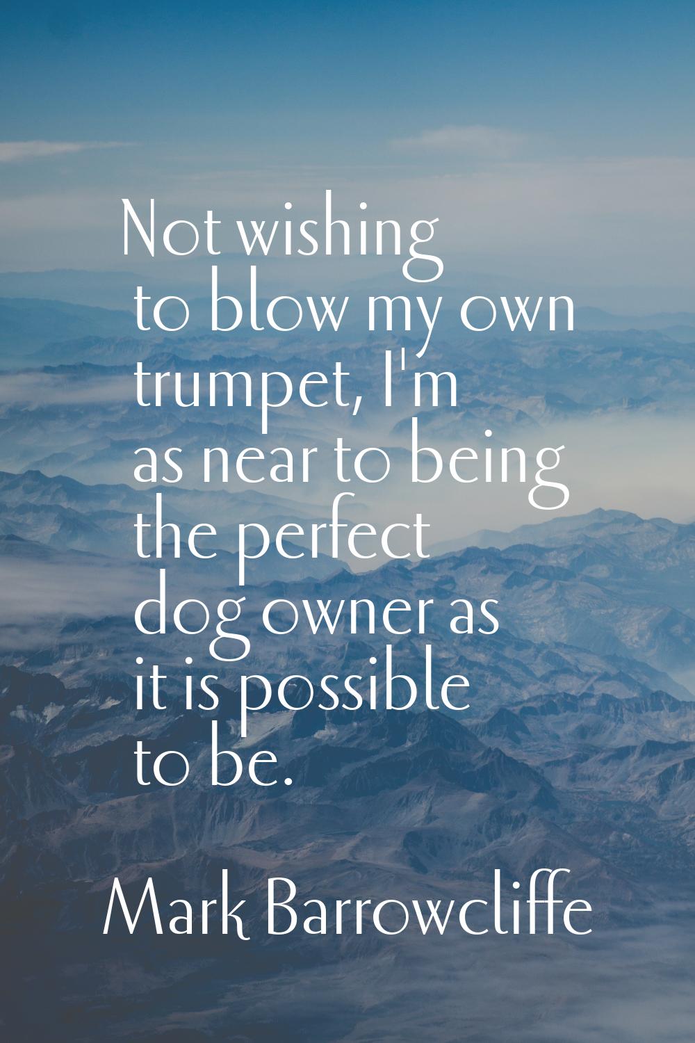 Not wishing to blow my own trumpet, I'm as near to being the perfect dog owner as it is possible to