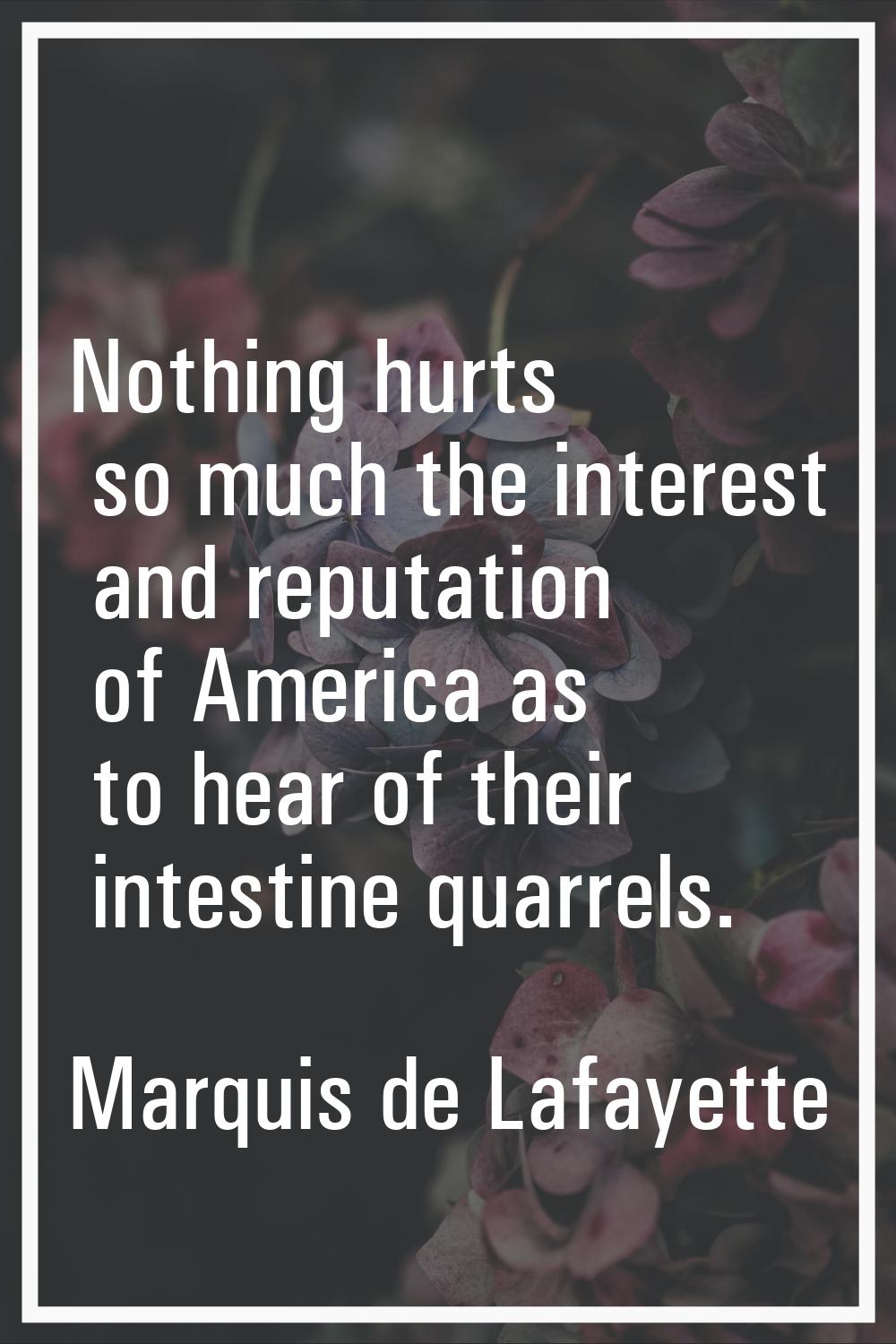 Nothing hurts so much the interest and reputation of America as to hear of their intestine quarrels