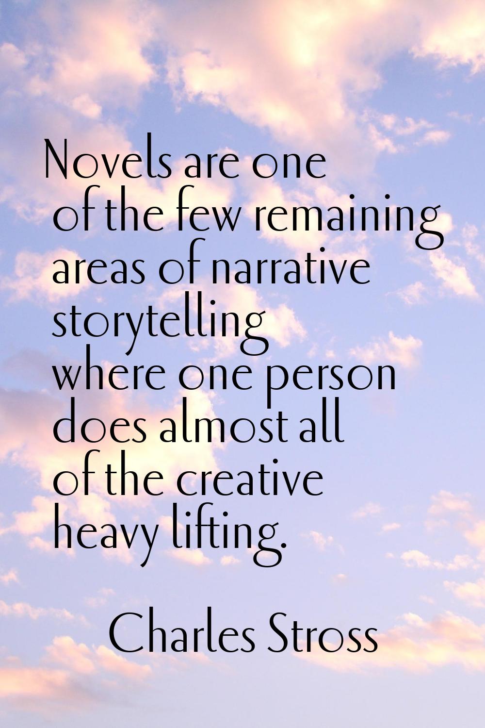 Novels are one of the few remaining areas of narrative storytelling where one person does almost al