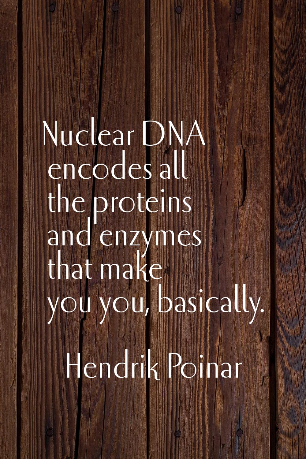 Nuclear DNA encodes all the proteins and enzymes that make you you, basically.