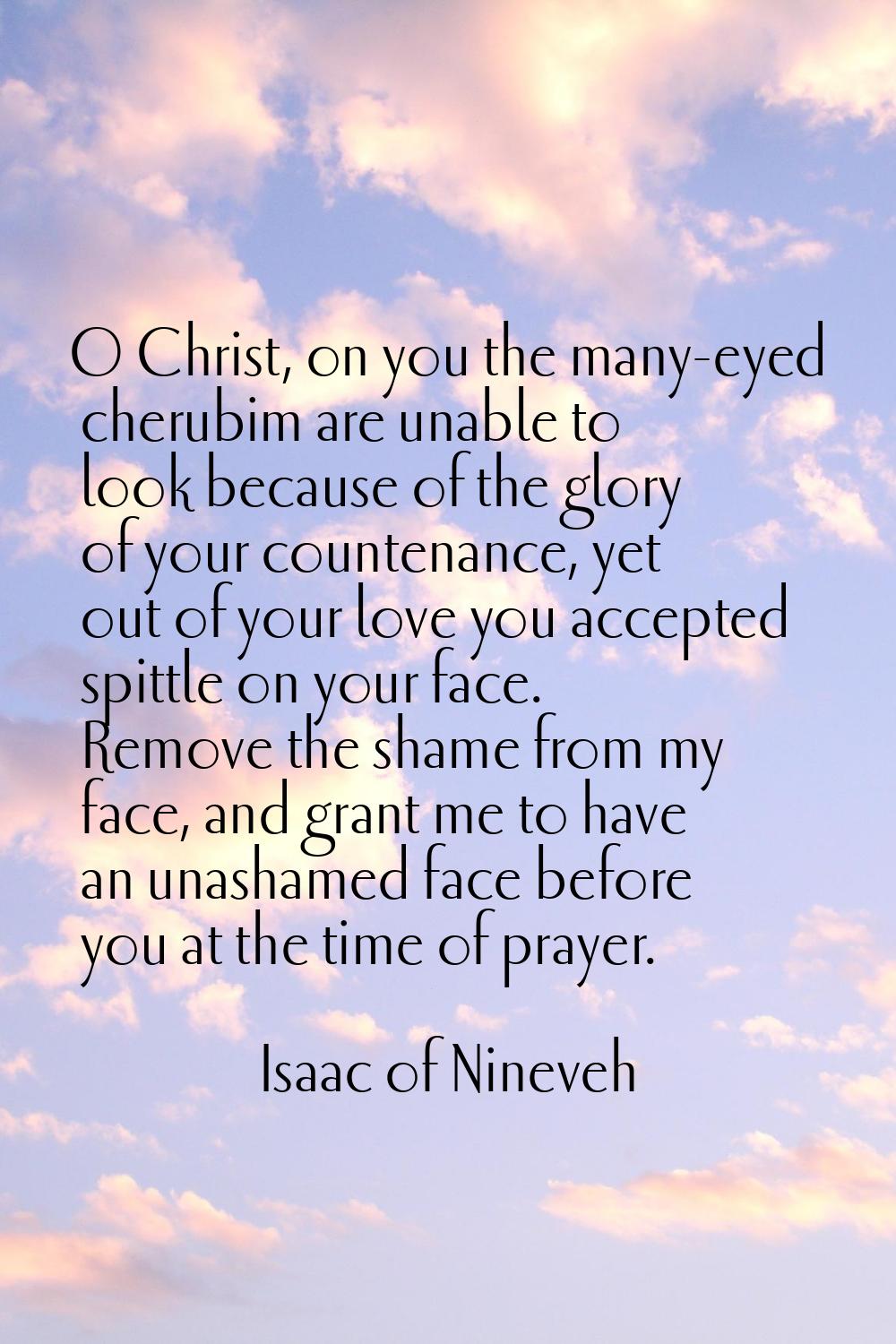 O Christ, on you the many-eyed cherubim are unable to look because of the glory of your countenance